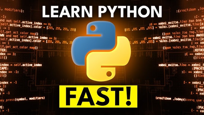 https://veloryd.codbos.com/image/python_1757596621.jpg